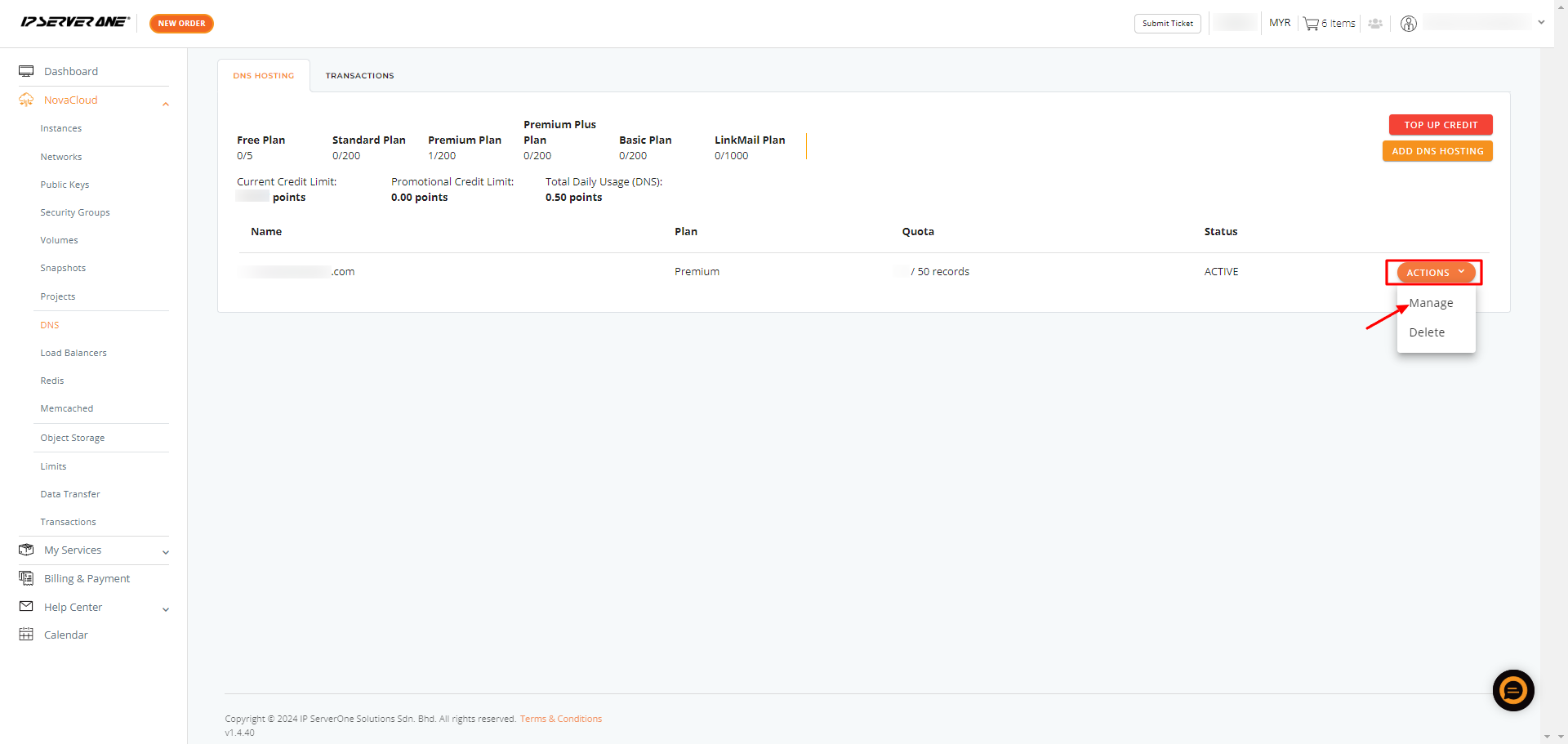 DNS Management